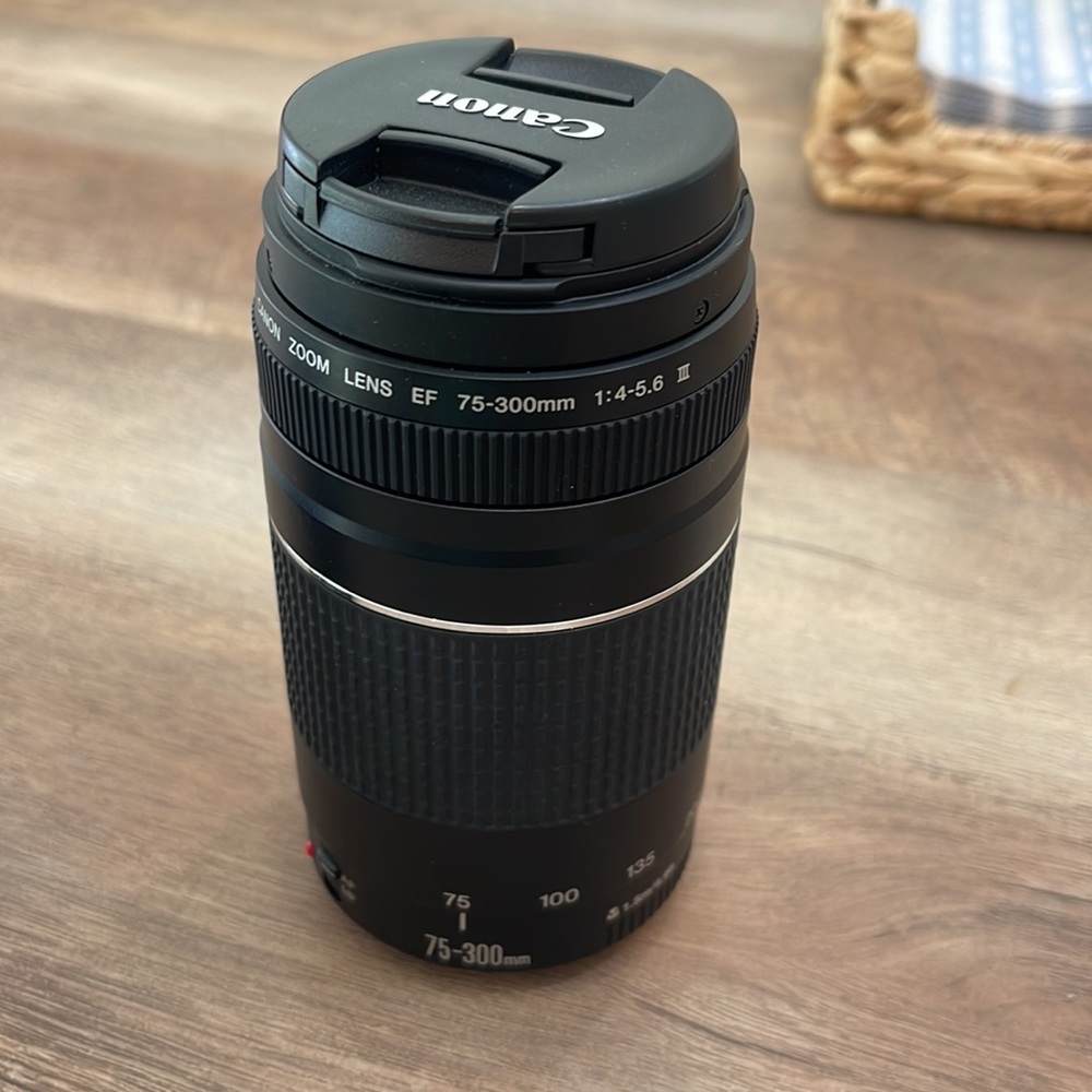 Canon 75-300mm lens